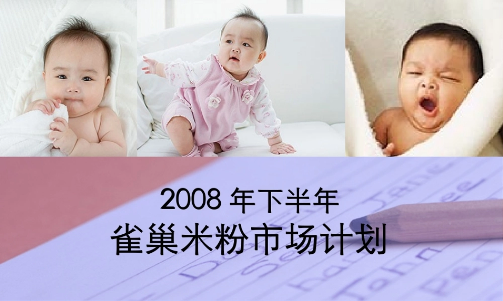 XXXX年雀巢婴儿米粉年度推广方案