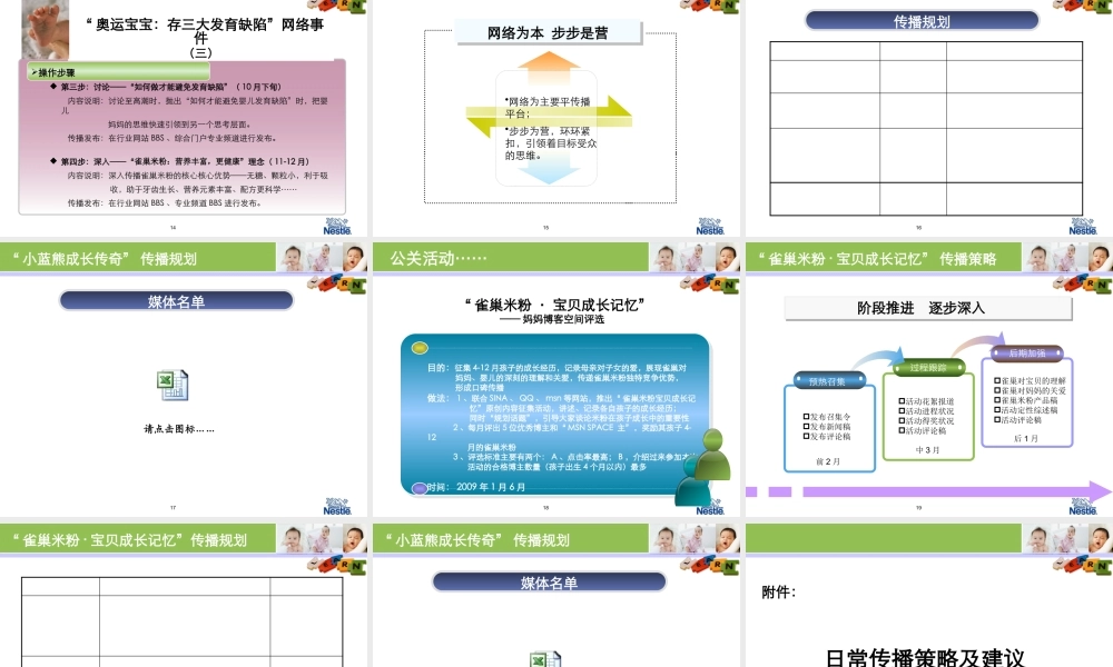 XXXX年雀巢婴儿米粉年度推广方案