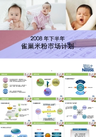 XXXX年雀巢婴儿米粉年度推广方案