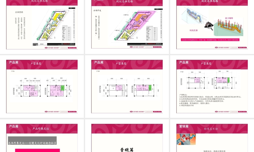 XXXX年陕西省西安市紫薇信息公寓LOFT产品整合提案