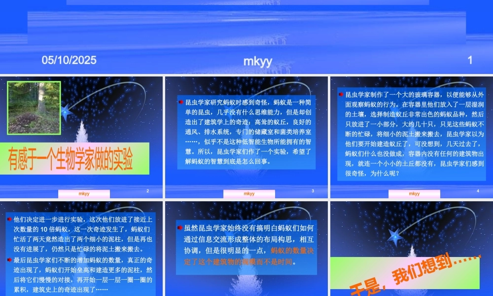 专题研究：积累智慧，获取硕果