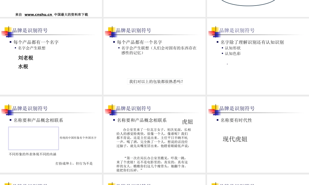 《市场总监培训教材》品牌塑造(PPT 173页)(1)