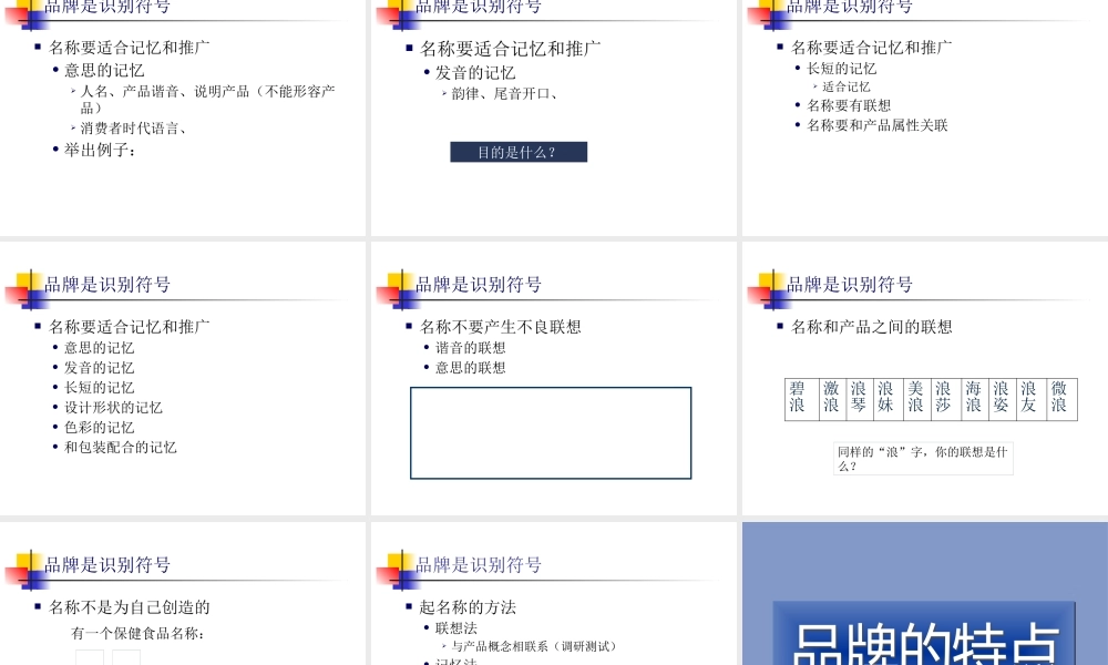 《市场总监培训教材》品牌塑造(PPT 173页)(1)