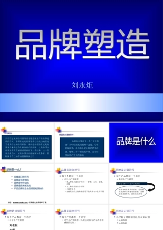 《市场总监培训教材》品牌塑造(PPT 173页)(1)