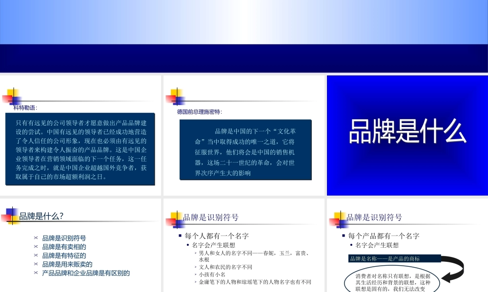 《市场总监培训教材》品牌塑造