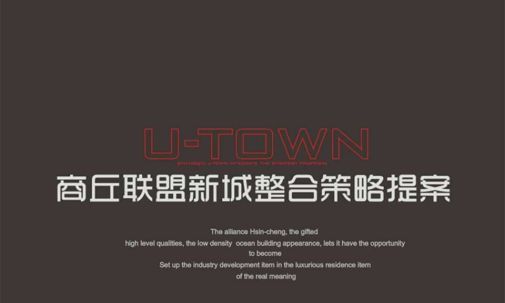 XXXX年商丘建业·联盟新城整合策略提案