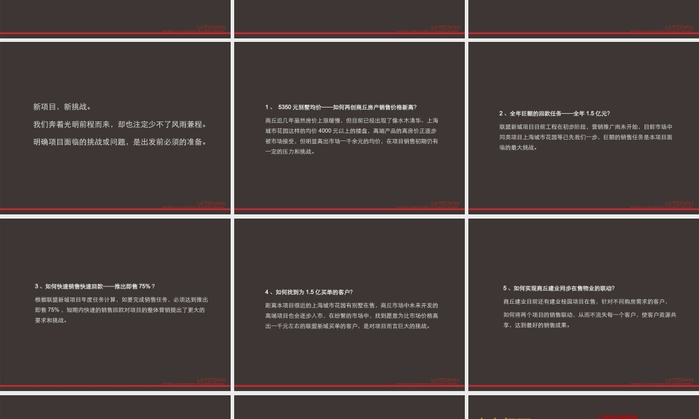 XXXX年商丘建业·联盟新城整合策略提案