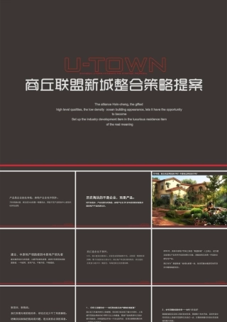 XXXX年商丘建业·联盟新城整合策略提案