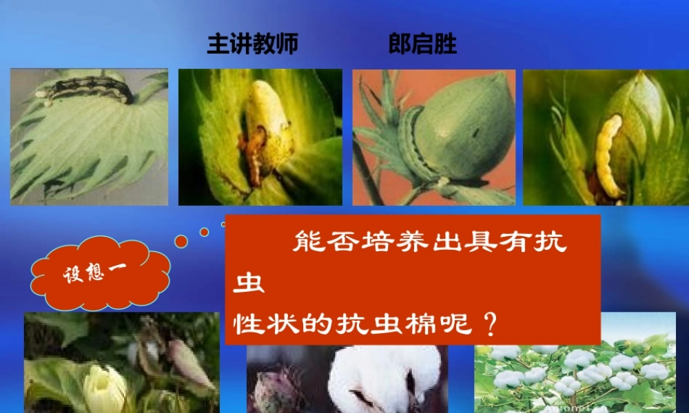 专题一基因工程11DNA重组技术的基本工具