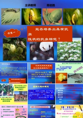 专题一基因工程11DNA重组技术的基本工具
