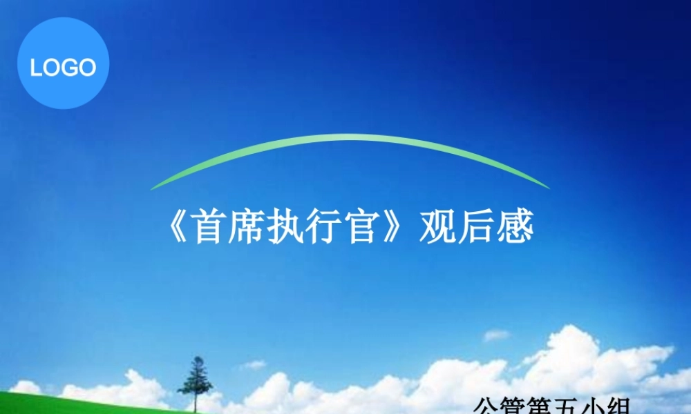 《首席执行官》观后感