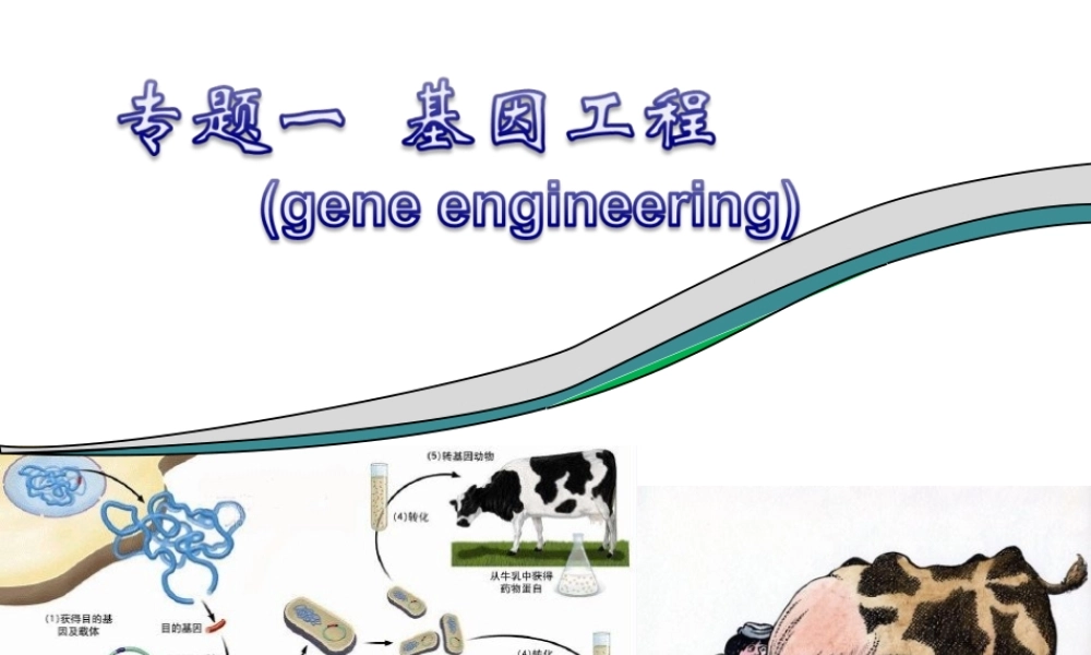 专题一基因工程选修三DNA重组技术的基本工具,基因工程