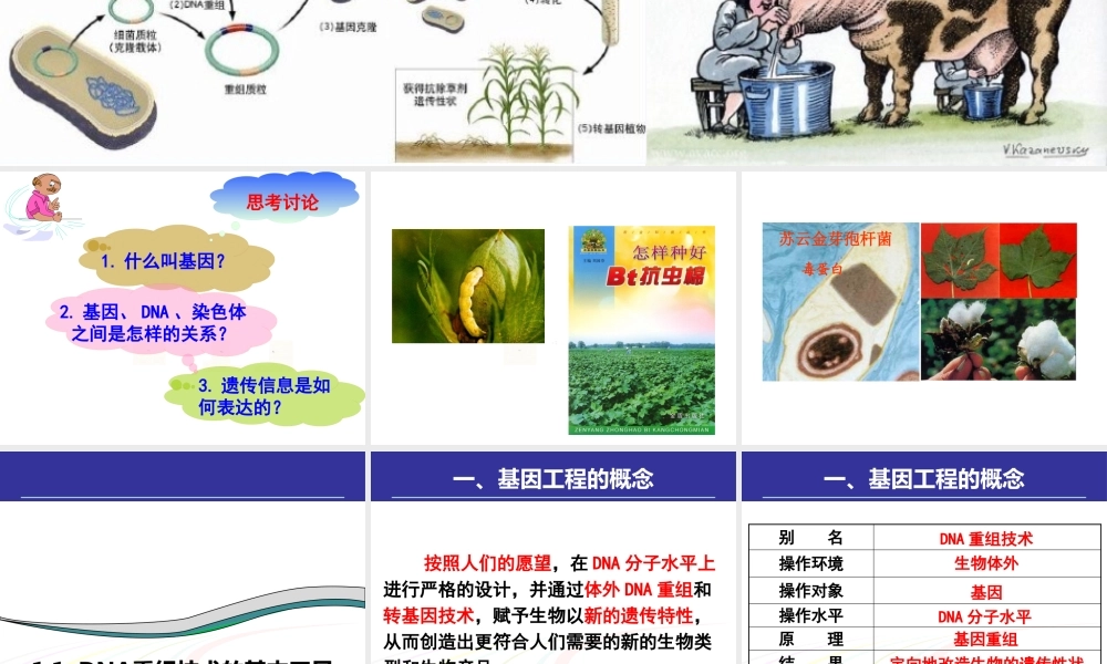 专题一基因工程选修三DNA重组技术的基本工具,基因工程