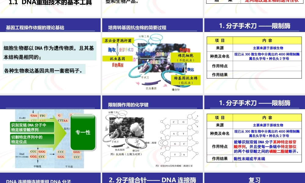 专题一基因工程选修三DNA重组技术的基本工具,基因工程