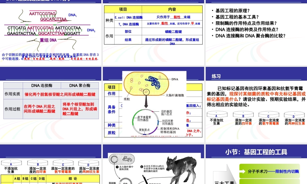 专题一基因工程选修三DNA重组技术的基本工具,基因工程