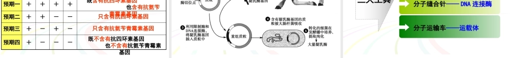 专题一基因工程选修三DNA重组技术的基本工具,基因工程