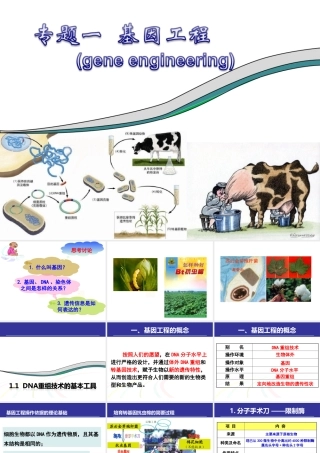 专题一基因工程选修三DNA重组技术的基本工具,基因工程