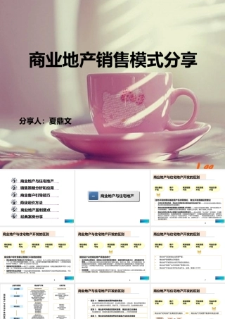 XXXX年商业地产销售模式分享