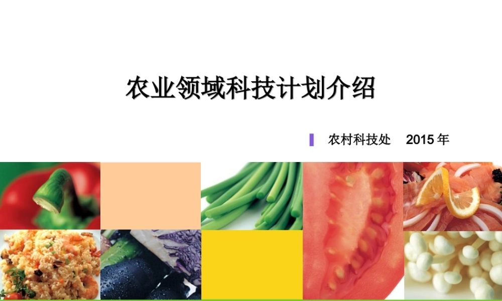 XXXX年涉农领域申报项目