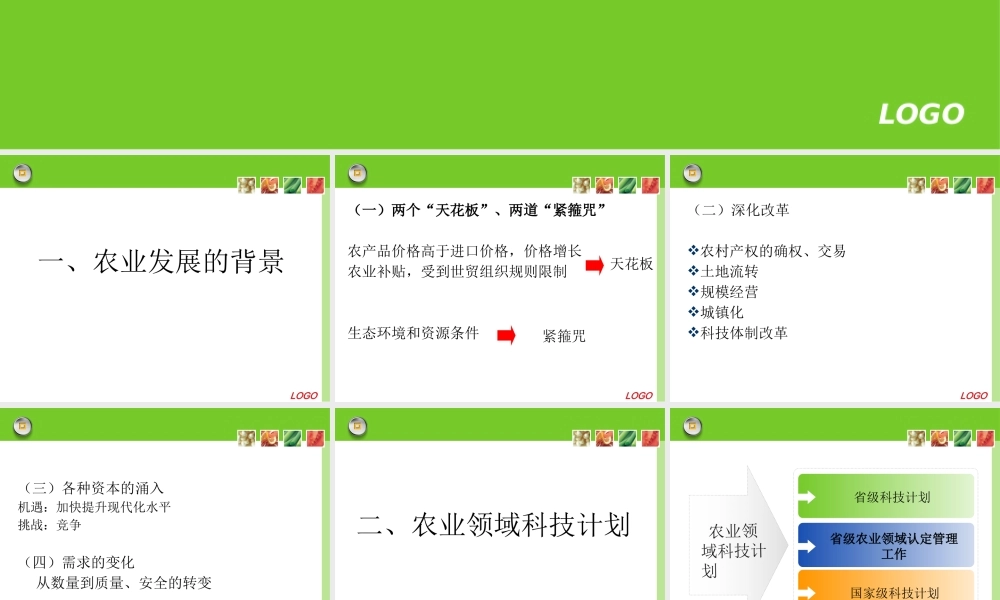 XXXX年涉农领域申报项目