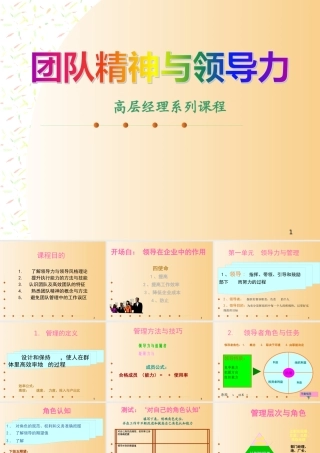 专题资料-团队建设→团队精神与领导力