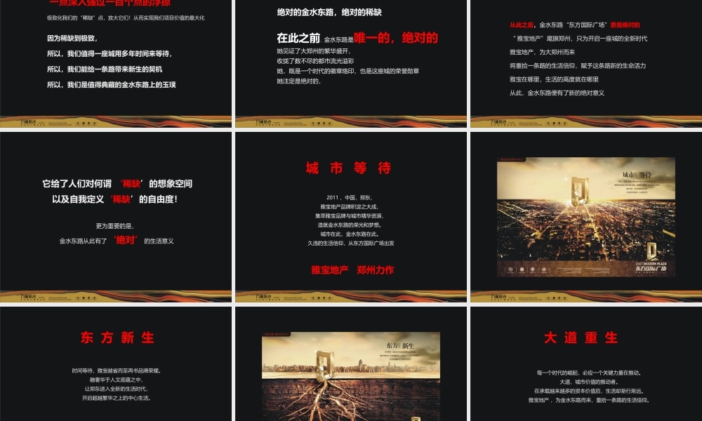 XXXX年深圳力德联合郑州东方国际广场推广