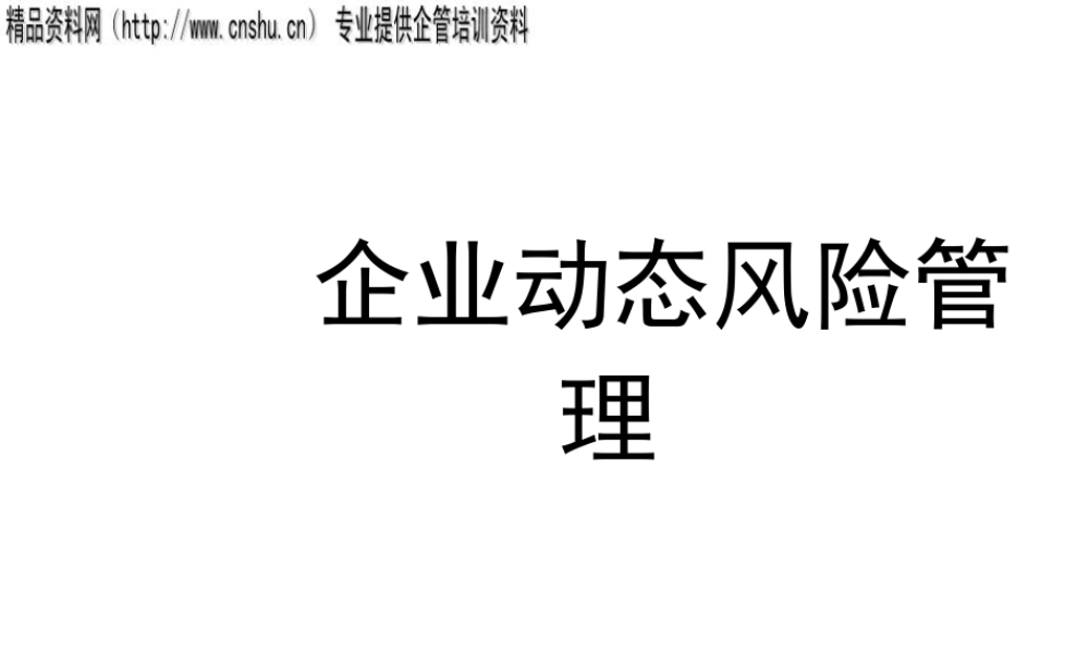 专项风险管理研究及风险管理案例