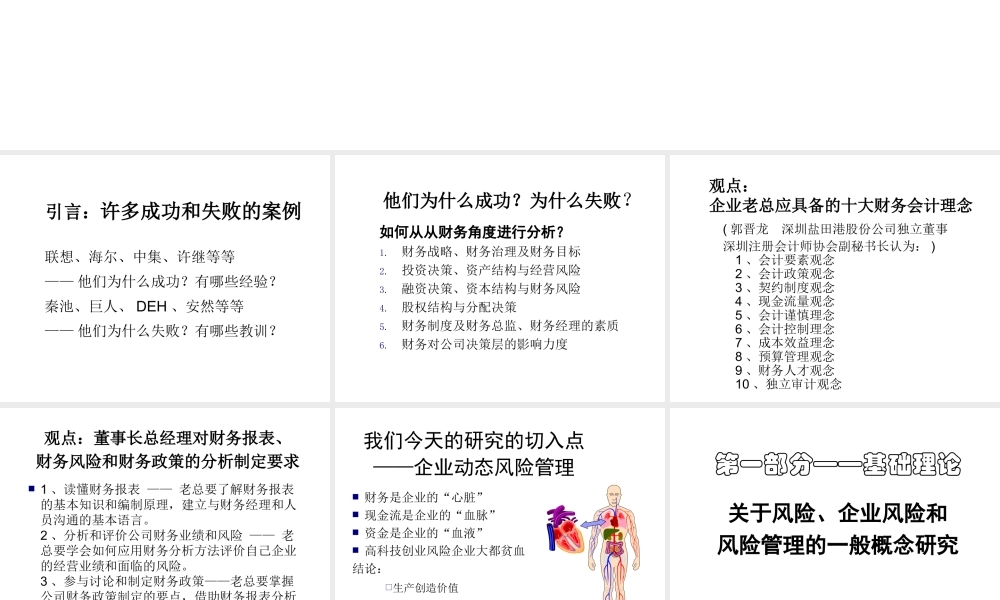 专项风险管理研究及风险管理案例