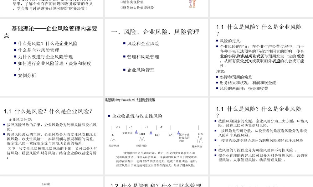 专项风险管理研究及风险管理案例