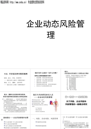 专项风险管理研究及风险管理案例