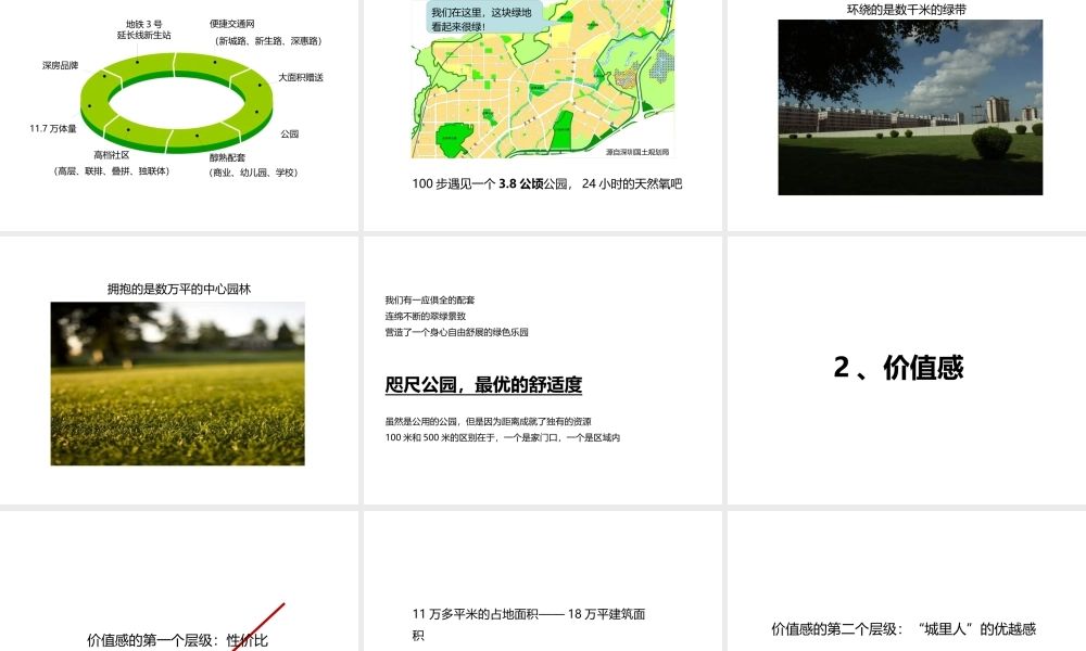 XXXX年深圳深房尚林项目整合推广思考