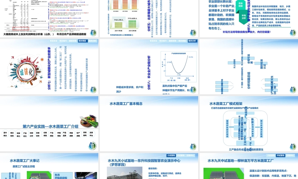 《水木蔬菜工厂》商业计划书(PPT39页)