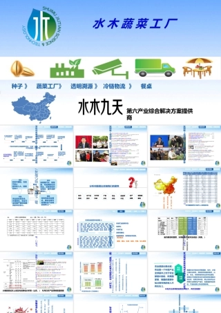 《水木蔬菜工厂》商业计划书(PPT39页)