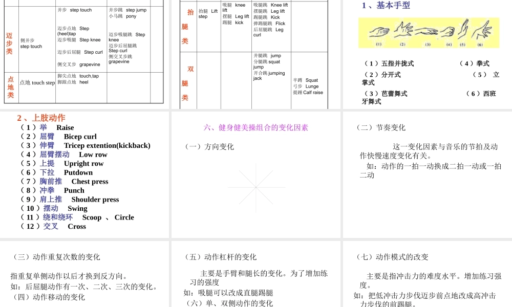 专项理论新运动基础理论