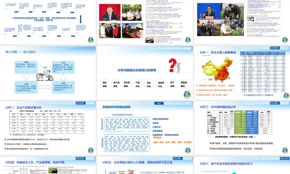 《水木蔬菜工厂》商业计划书