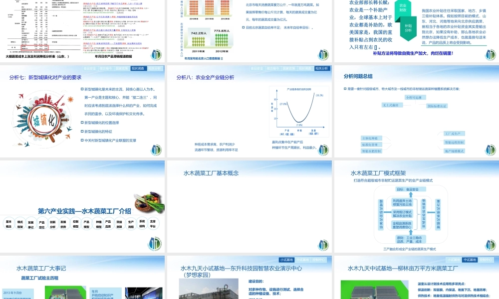 《水木蔬菜工厂》商业计划书