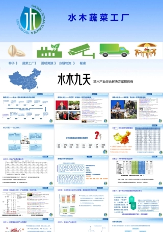 《水木蔬菜工厂》商业计划书