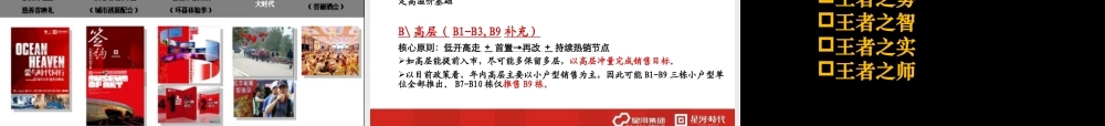 XXXX年深圳中原最佳策划项目决赛报告星河时代