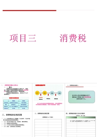 《税法》项目三消费税法
