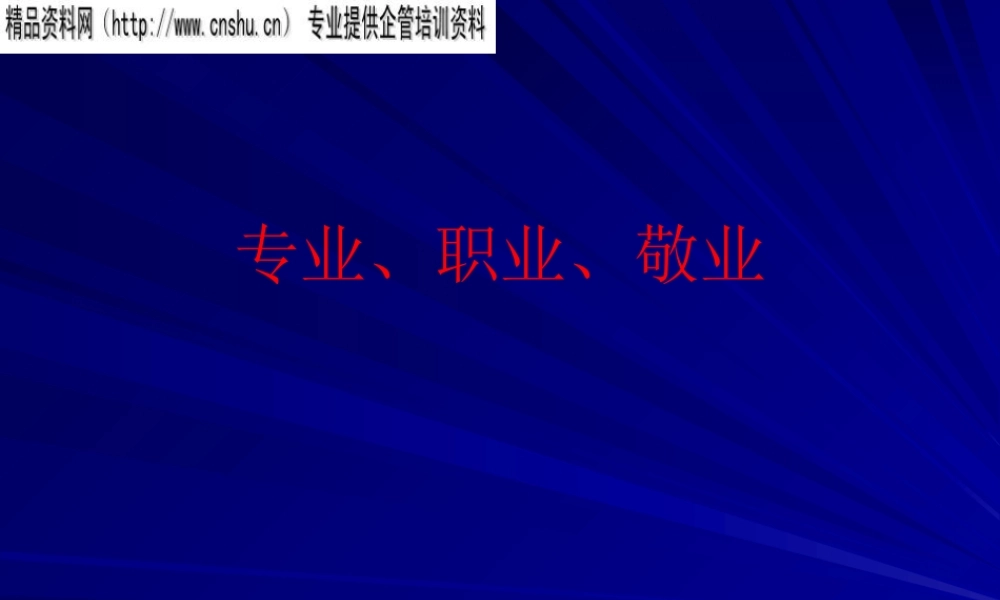 专业、职业、敬业的营销团队