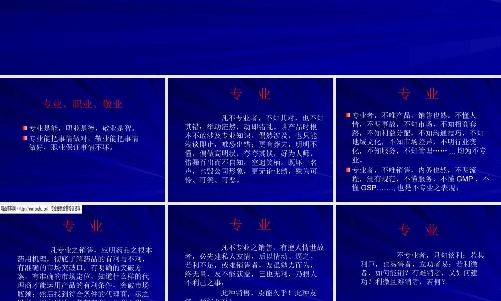 专业、职业、敬业的营销团队