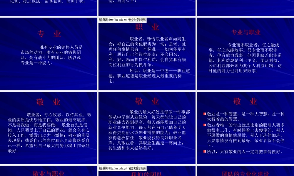专业、职业、敬业的营销团队