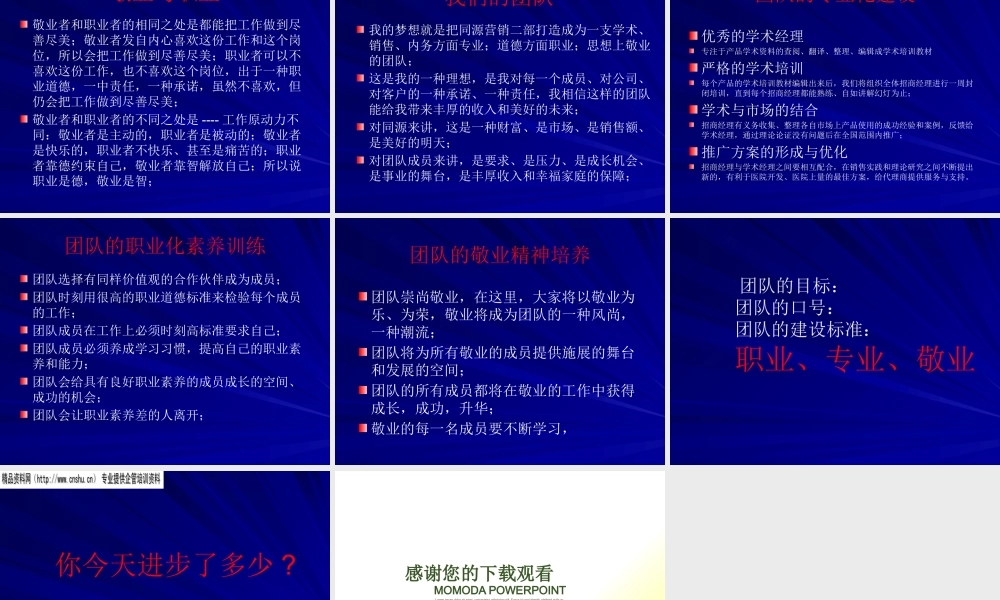 专业、职业、敬业的营销团队