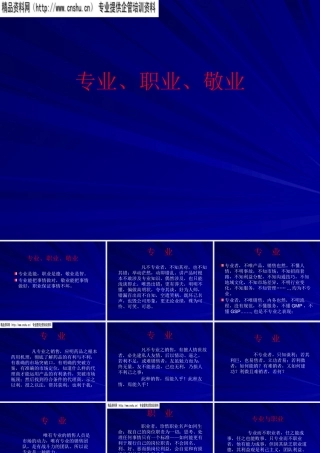 专业、职业、敬业的营销团队