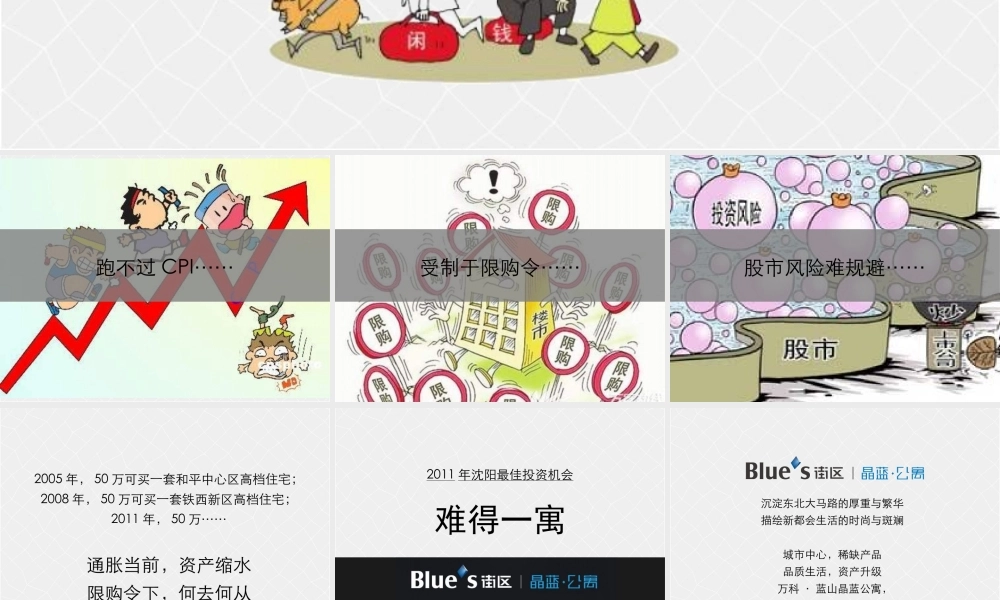 XXXX年沈阳某地产蓝山晶蓝公寓小户产品推介手册_18P