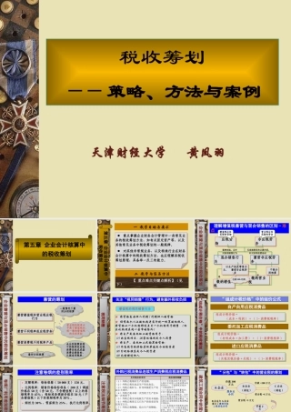 《税收筹划：策略、方法与案例》课件(第五章)