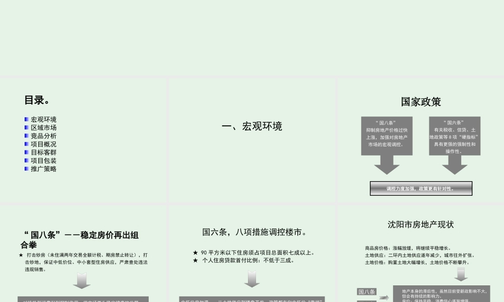 XXXX年沈阳世创正达红阳项目营销思路
