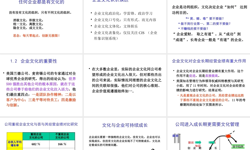 《思念食品企业文化管理培训》