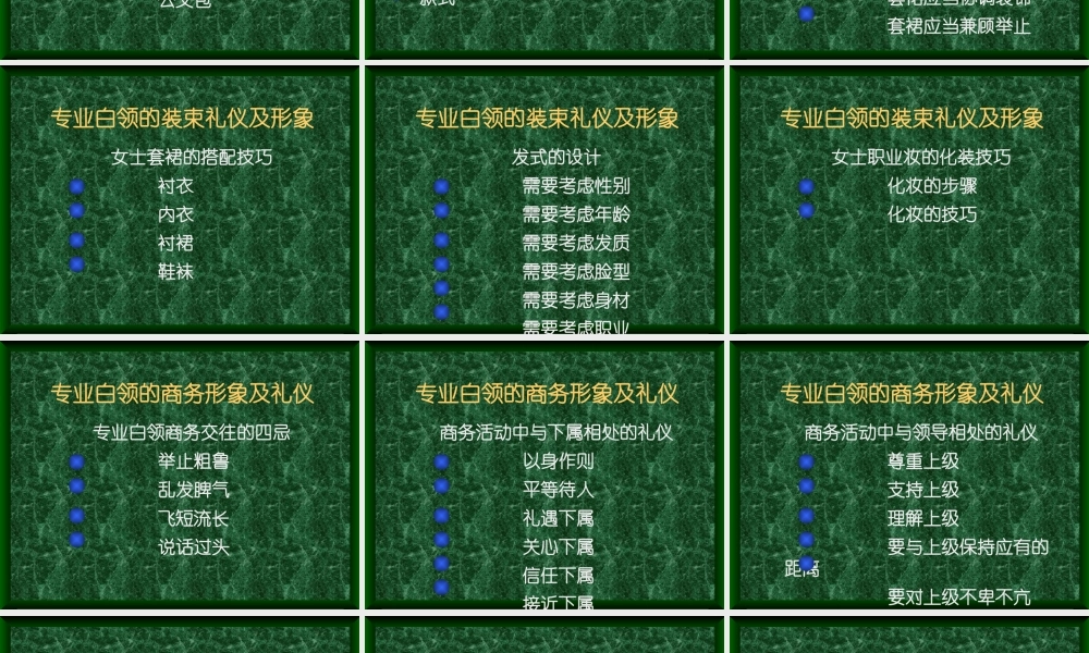 专业白领商务形象与商务礼仪