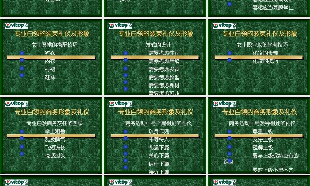 专业白领形象 及商务礼仪